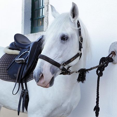 아제이타오 Arrabida Heritage @Portugal Luxury Retreat 게스트하우스 외부 사진