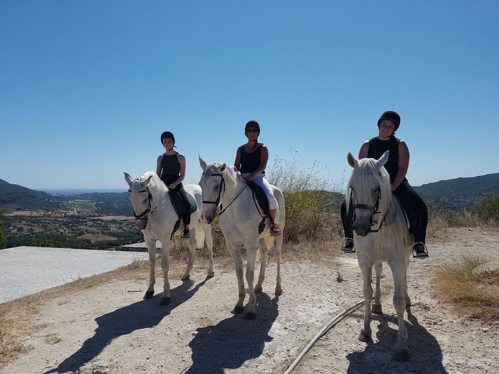 아제이타오 Arrabida Heritage @Portugal Luxury Retreat 게스트하우스 외부 사진